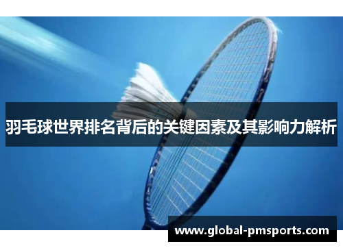 羽毛球世界排名背后的关键因素及其影响力解析