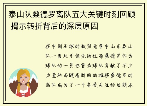 泰山队桑德罗离队五大关键时刻回顾 揭示转折背后的深层原因