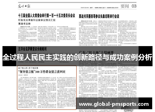 全过程人民民主实践的创新路径与成功案例分析